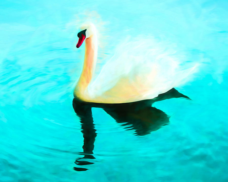 Mute Swan Art - Swimming In Turquoise  Mixed Media by Priya Ghose