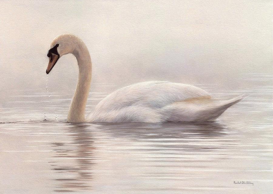 Mute Swan Painting Painting by Rachel Stribbling