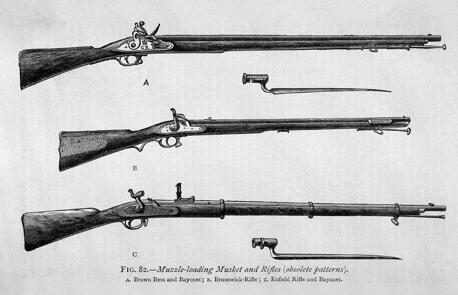 Muzzle Loading Musket And Rifles Drawing by Mary Evans Picture Library