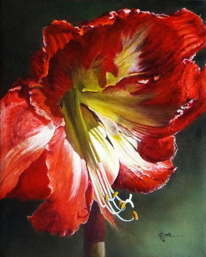 My Amaryllis in Morning Sun #3 Painting by Mary Dove