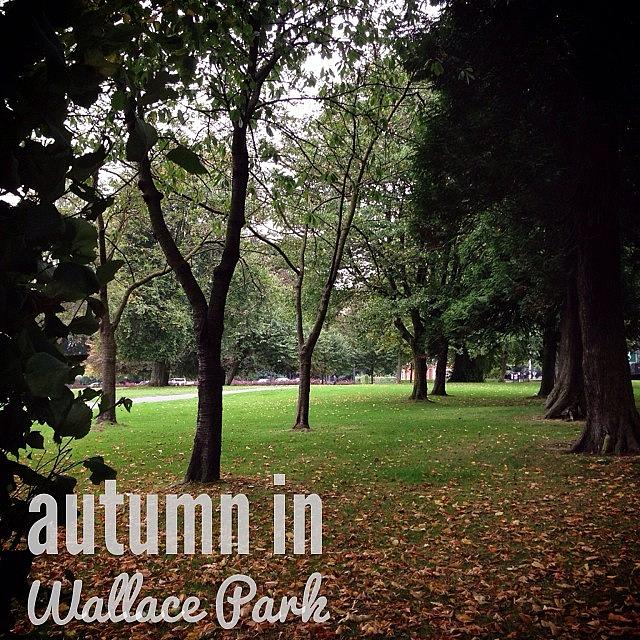Fall Photograph - My Autumnal Walk This Morning, Wallace by Janmary M
