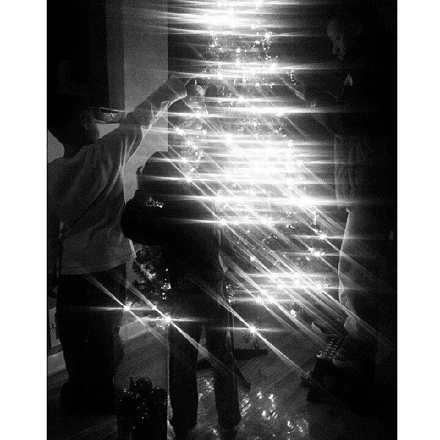 My Babies Decorating The Tree. Packing Photograph by Ankh Images