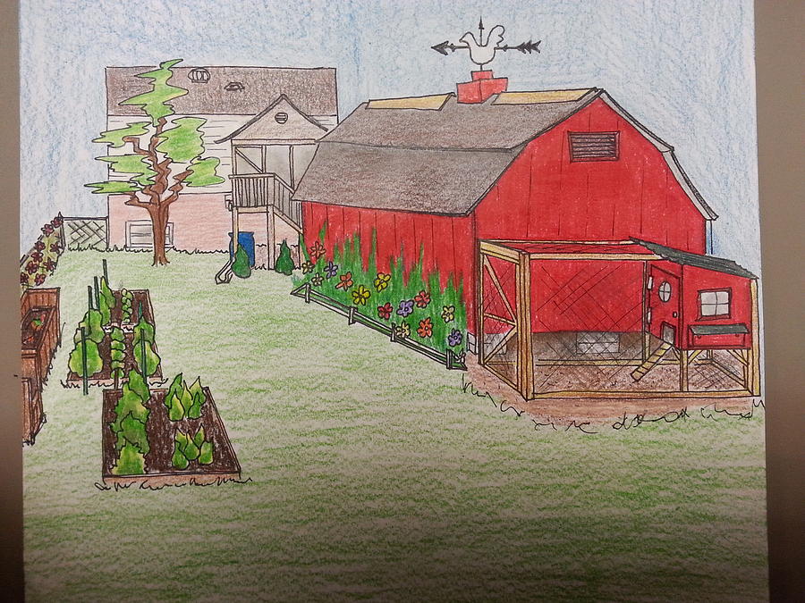 My backyard Drawing by Alicia Penn Fine Art America