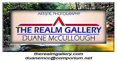 My Business Card Photograph by Duane McCullough