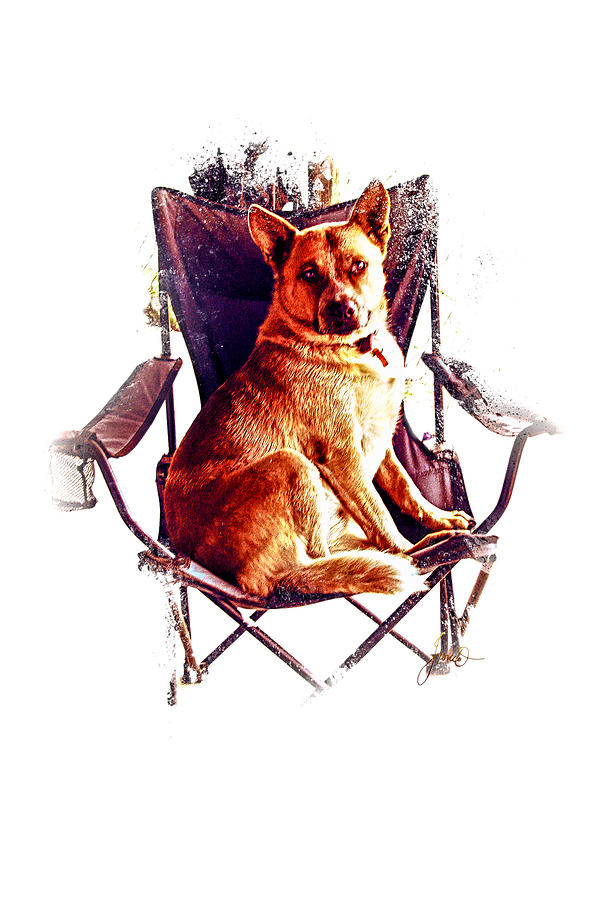 Nature Digital Art - My Chair by Janice OConnor