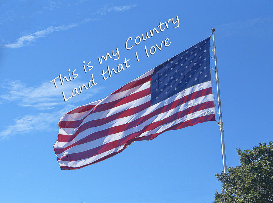 My Country US Flag Photograph by Linda Phelps