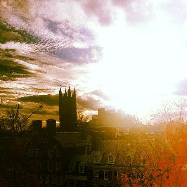 Fall Photograph - My Current View Of #princeton by Brian Harris
