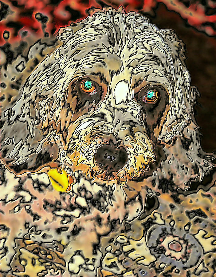 My Dog Annie Photograph by Perry Frantzman