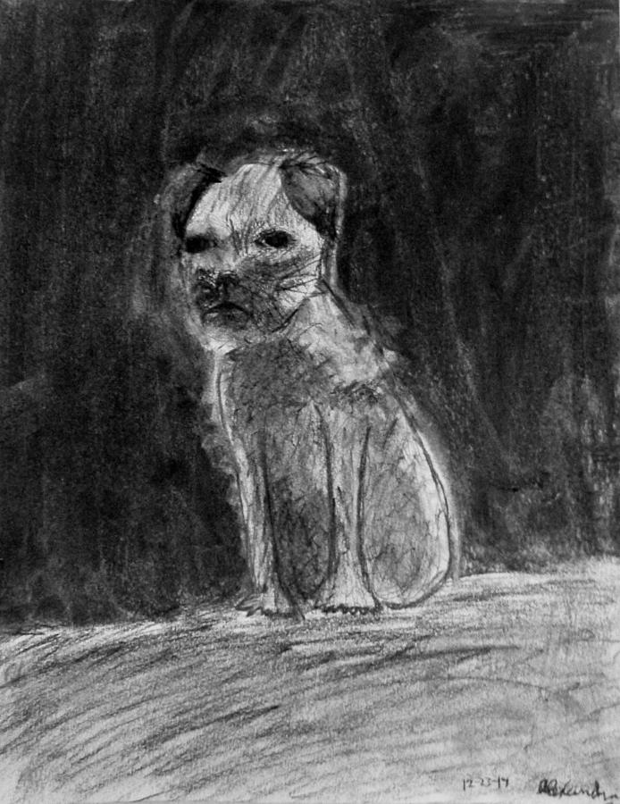 My Dog Max Drawing by Alexandra Herr