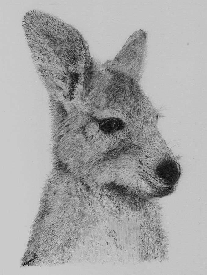 Kangaroo Drawing - My Duncan by Wendy Brunell