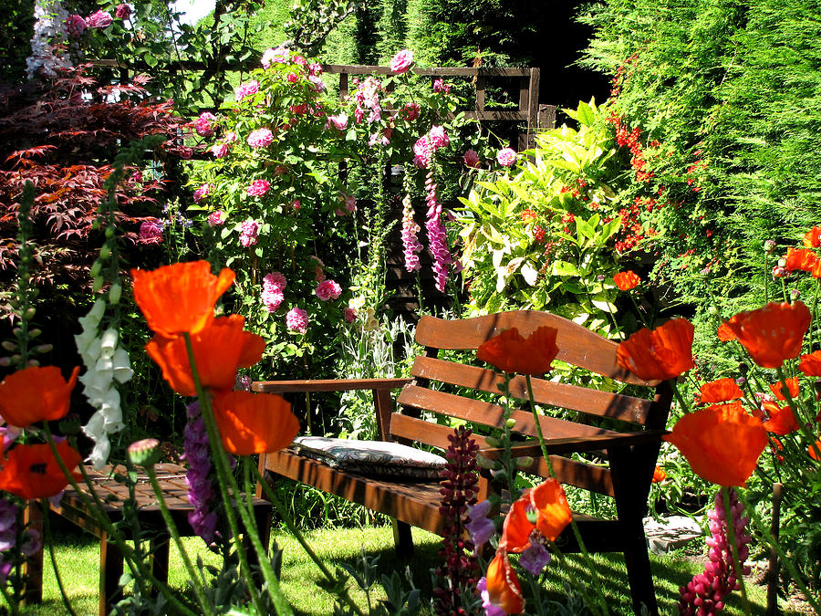 Flower Photograph - My Scottish Garden #1 by Jacqi Elmslie