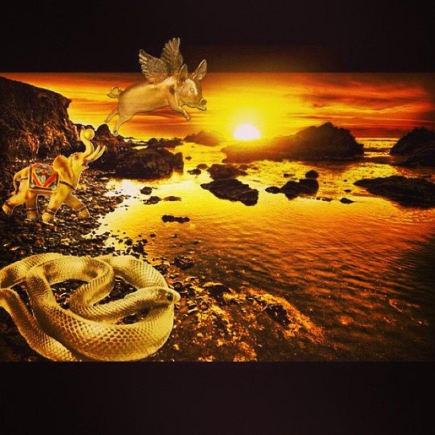 Surrealism Photograph - My Entry For @xfactorpicscontest Theme: by Tatyanna Spears