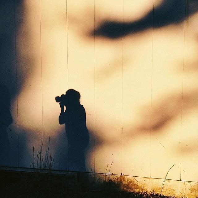 My Favorite Shadow, Doing Her Thing And Photograph by Brett Arthur