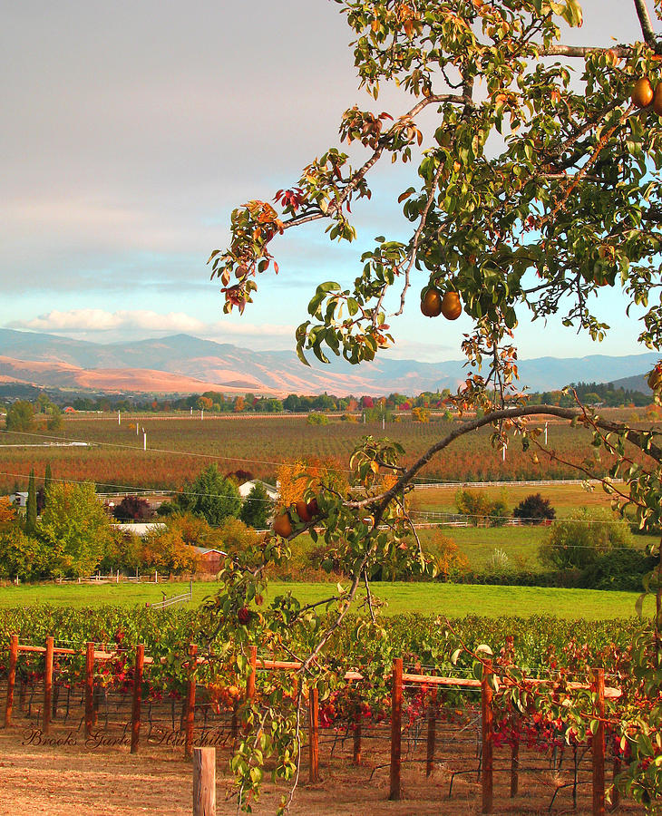 My Favorite Valley View - Autumn in Southern Oregon - Scenic Nature Photograph by Brooks Garten Hauschild