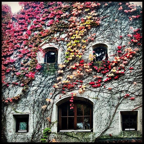 Nature Photograph - My Favourite House Dressed Up For by Faye Sanna
