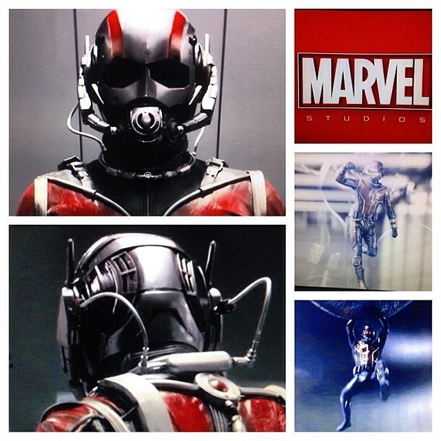 Antman Photograph - My First Ant-man Sighting! #marvel by Justin DeRoche