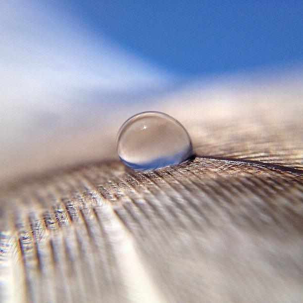 Waterdrops Photograph - My First Attempt To Catch A Drop On A by Bianca M