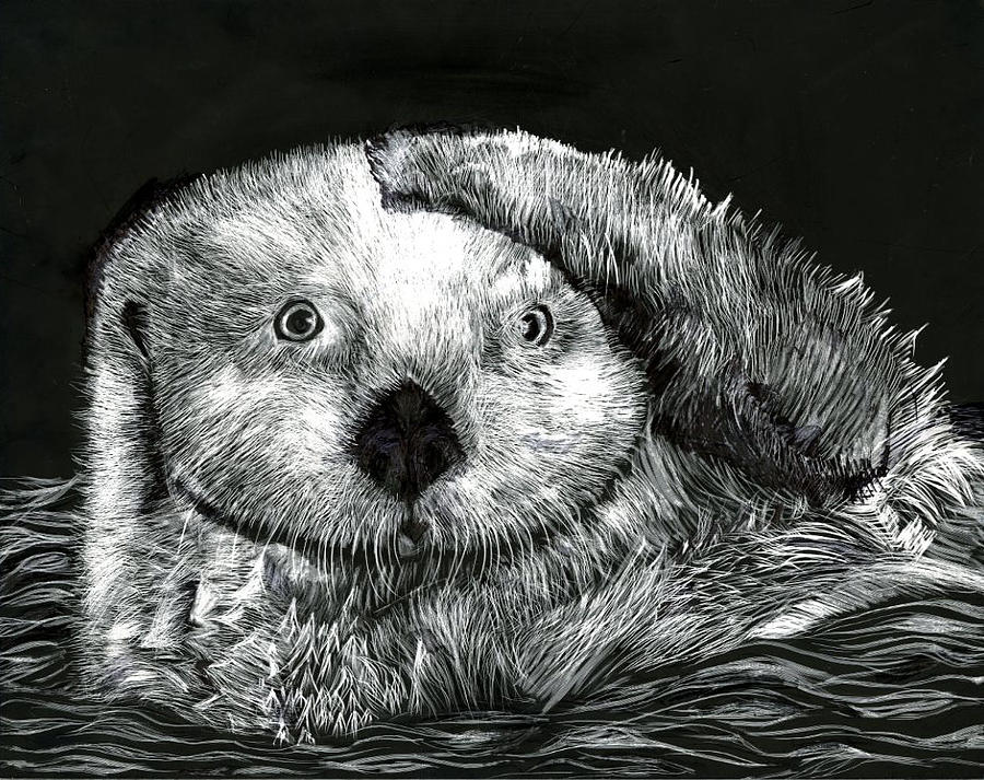 My Furry Friend by Sachi Nandedkar 6th Grade Drawing by California Coastal Commission