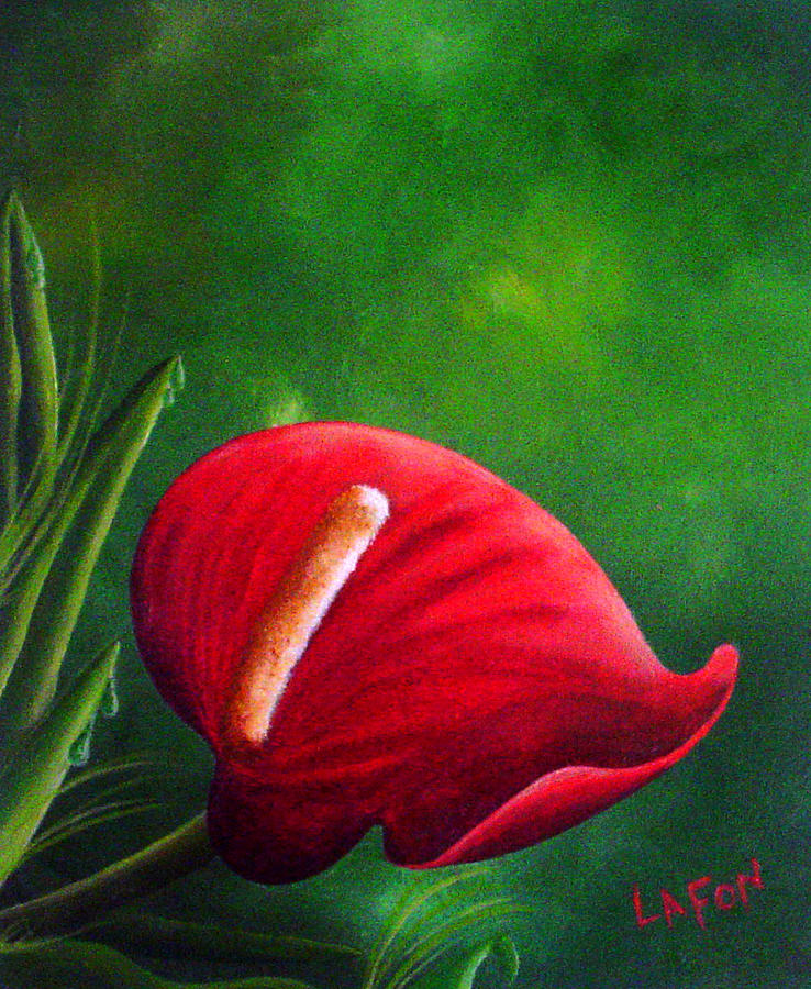 my garden by Owen Lafon my garden by Owen Lafon