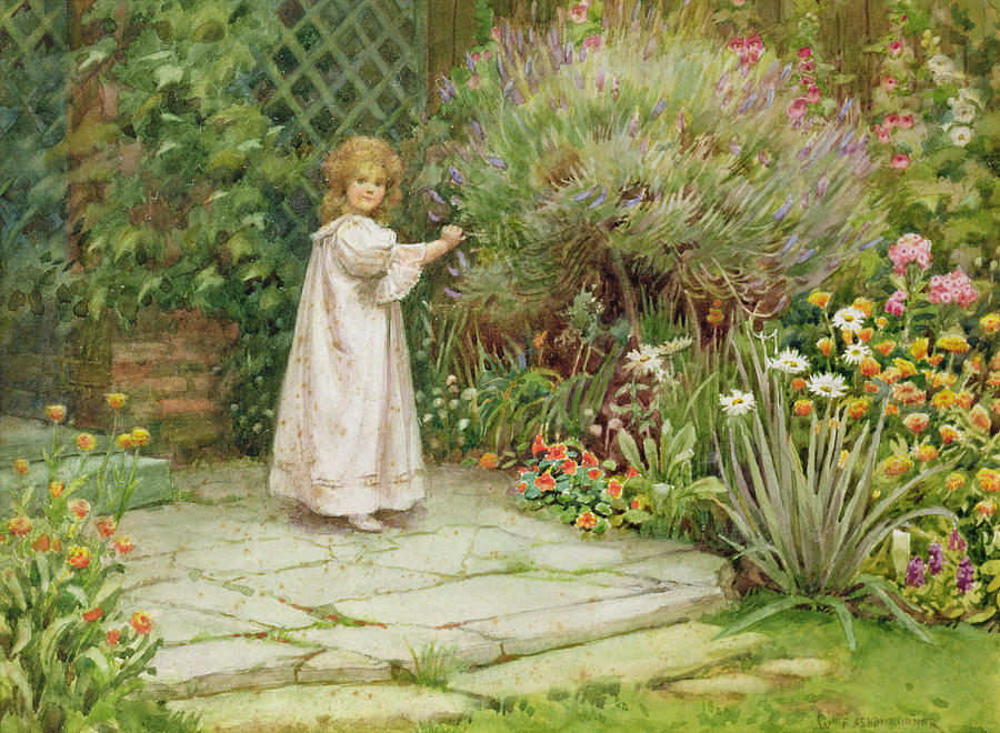 Flower Painting - My Garden by William Ashburner