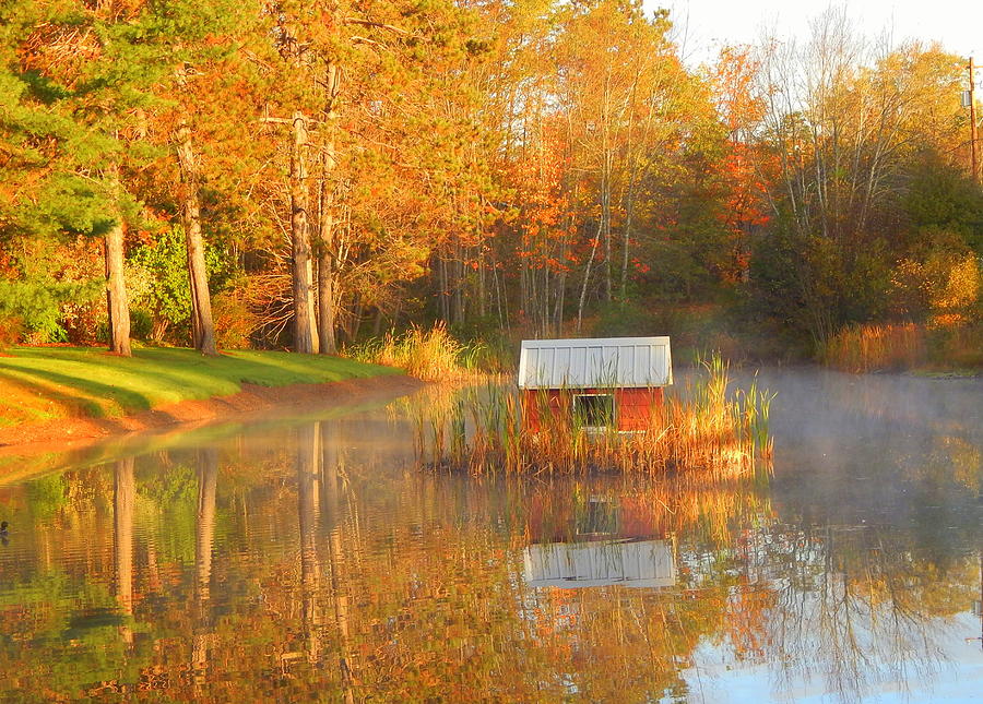 Fall Photograph - My Golden Pond by Karen Cook