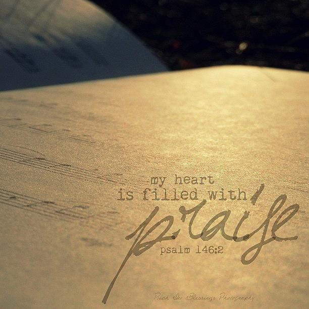 Typography Photograph - My Heart Is Filled With Praise. || by Traci Beeson