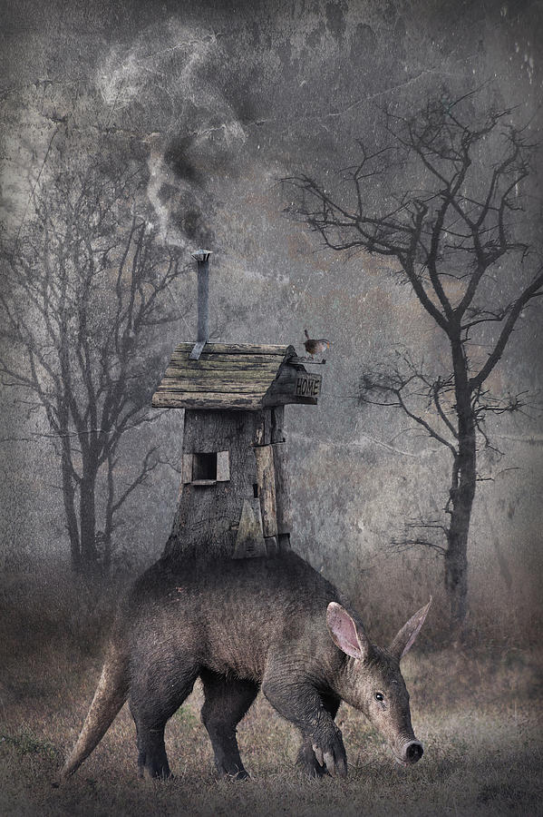Fantasy Photograph - My Hut On The Back by Muriel Vekemans