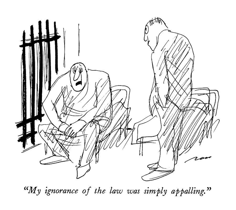 My Ignorance Of The Law Was Simply Appalling Drawing by Al Ross