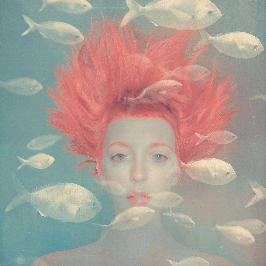Dream Photograph - My imaginary fishes by Anka Zhuravleva Dream Photograph - My imaginary fishes by Anka Zhuravleva