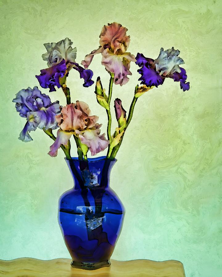 My Iris Vincents Genius Photograph by Nikolyn McDonald