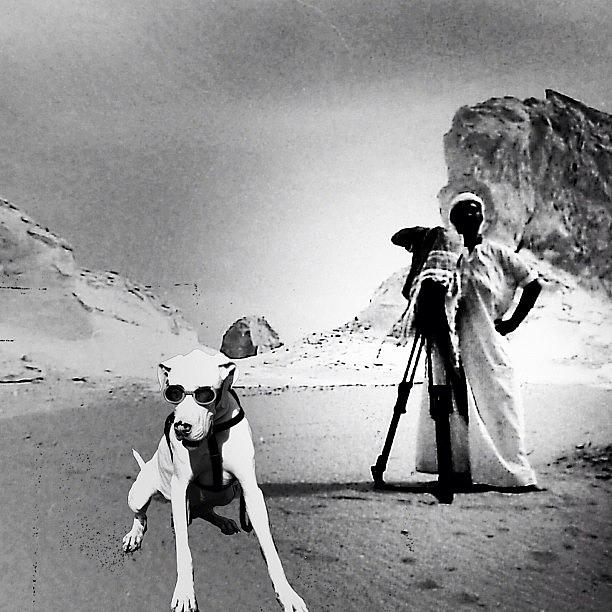 Desert Photograph - My Last Vacation With Doggie In The by Rafael Kinzig