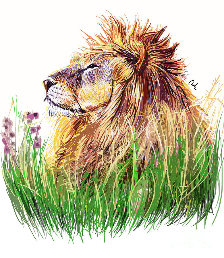 Animal Digital Art - My Lion by Chelsea Perez
