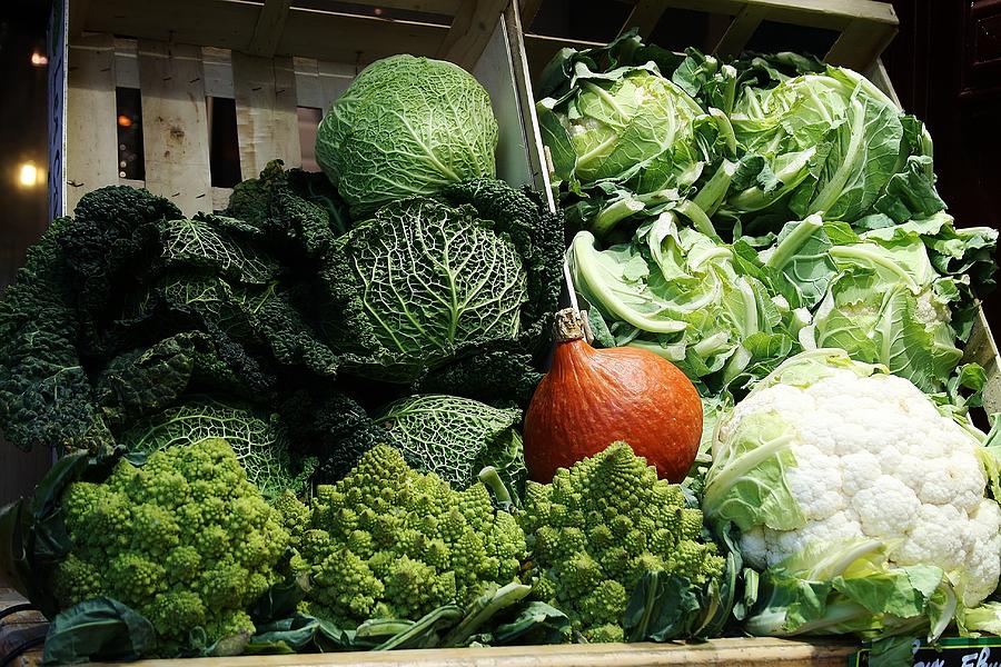 my-little-cabbage-photograph-by-sue-lorenz-fine-art-america