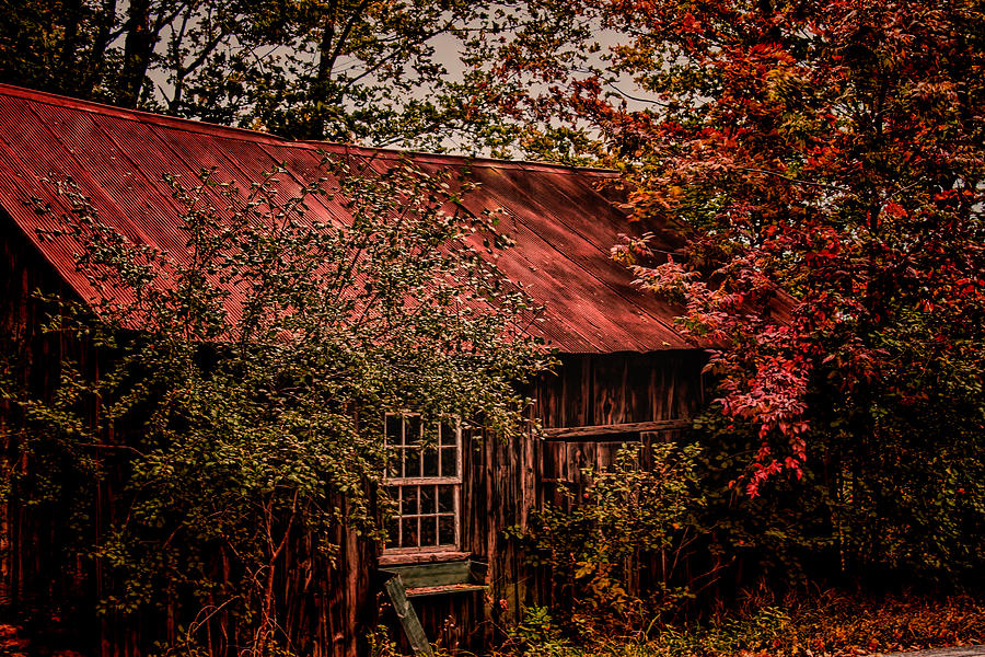 My little hidden shack in plain sight Photograph by Jeff Folger