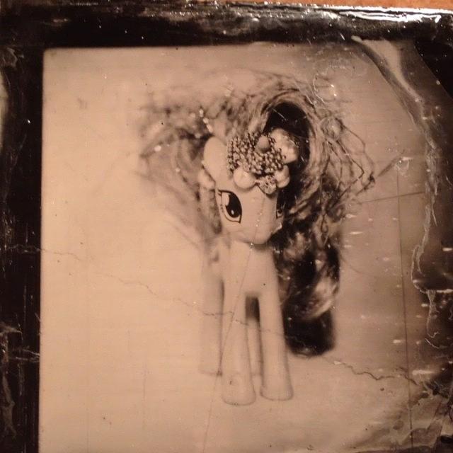 Ambrotype Photograph - My Little Pony #princess #cadence by Jan Kratochvil