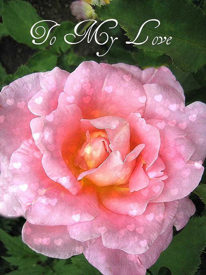 Rose Photograph - My Love by Shirley Sirois
