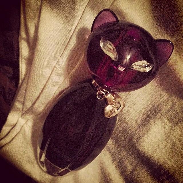 My Ma Got Me Some Cute Purrfume. Lol Photograph by Emmy Vesta