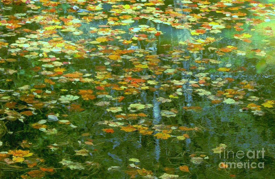 My Monet Photograph by Benanne Stiens