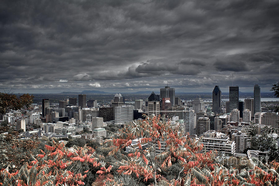 Landscape Photograph - My Montreals Colors by Donato Iannuzzi