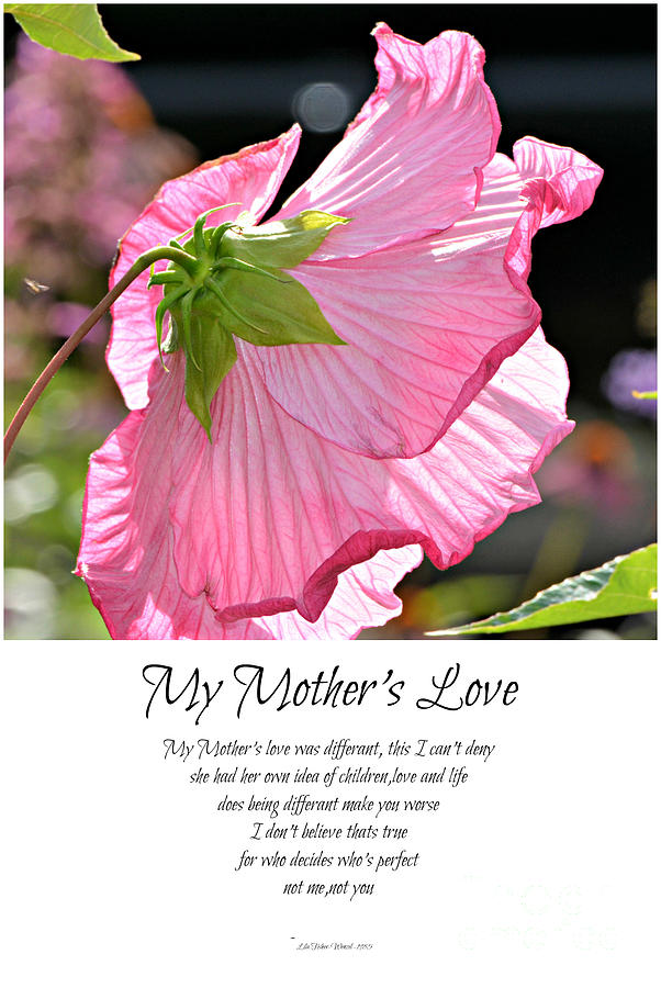 My Mothers Love Photograph by Lila Fisher-Wenzel