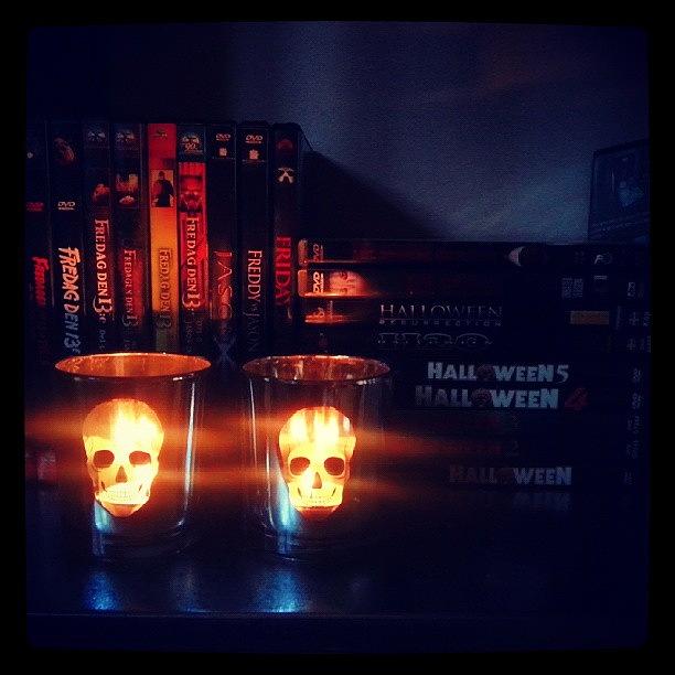 Skull Photograph - My New Babies Fits Perfectly In Front by Martina Bruer