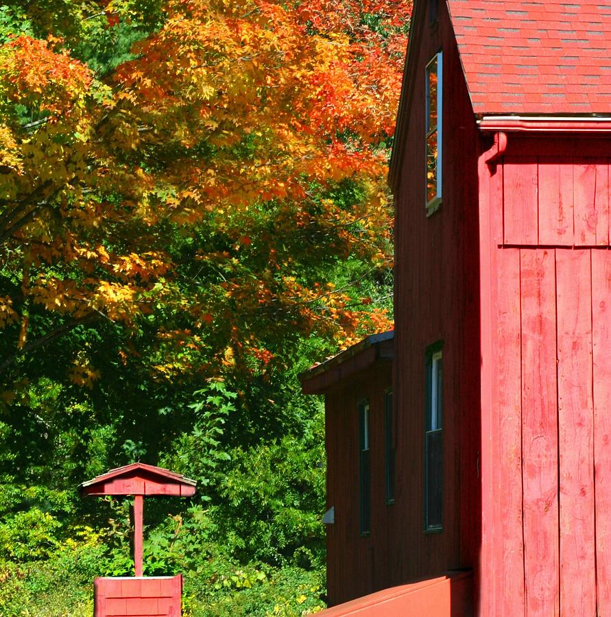 My New England in Fall Photograph by Barbara S Nickerson
