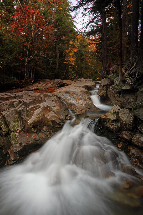 Fall Photograph - My New England by Juergen Roth