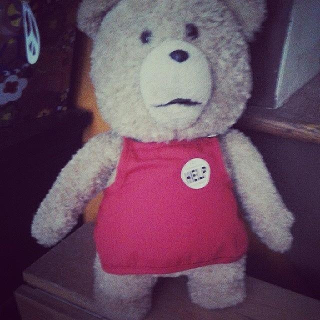 Ted Photograph - My New Friend! Thanks Mommy :-) #ted by Noel  Peceu