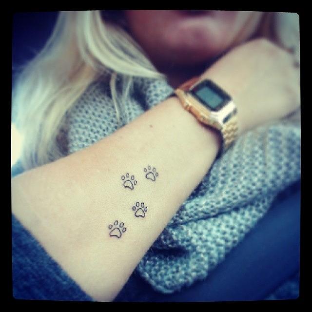 Cat Photograph - My New Tattoo By @elishvalder #tattoo by May Pinky  ✨
