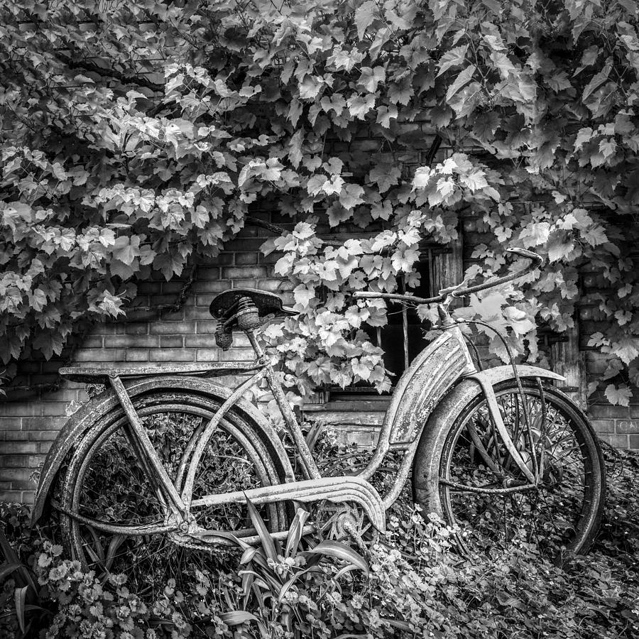 Barn Photograph - My Old Bicycle in Black and White by Debra and Dave Vanderlaan
