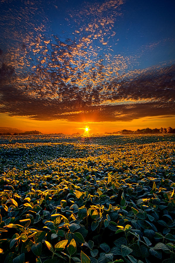 My Own Kind of Paradise Photograph by Phil Koch