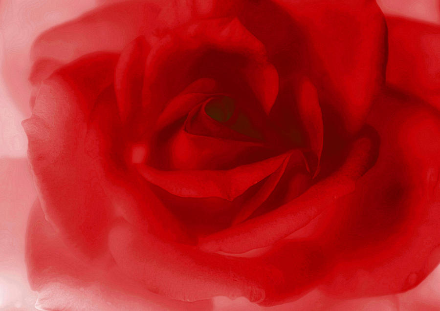 Rose Photograph - My Painted Love by The Art Of Marilyn Ridoutt-Greene