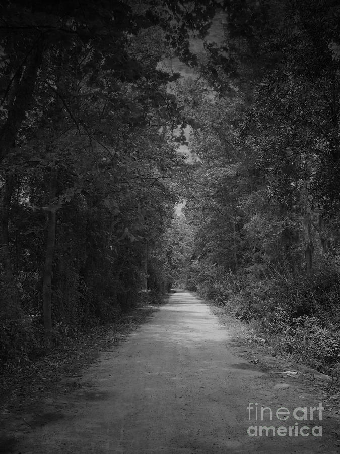 My pathway Photograph by Andrea Anderegg