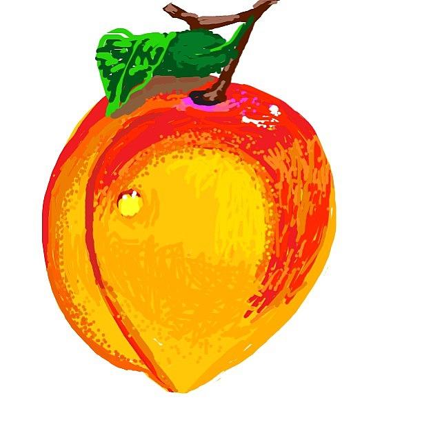 Draw Photograph - My Peach Drawing On Ds. #peachds #draw by Michelle Cronin